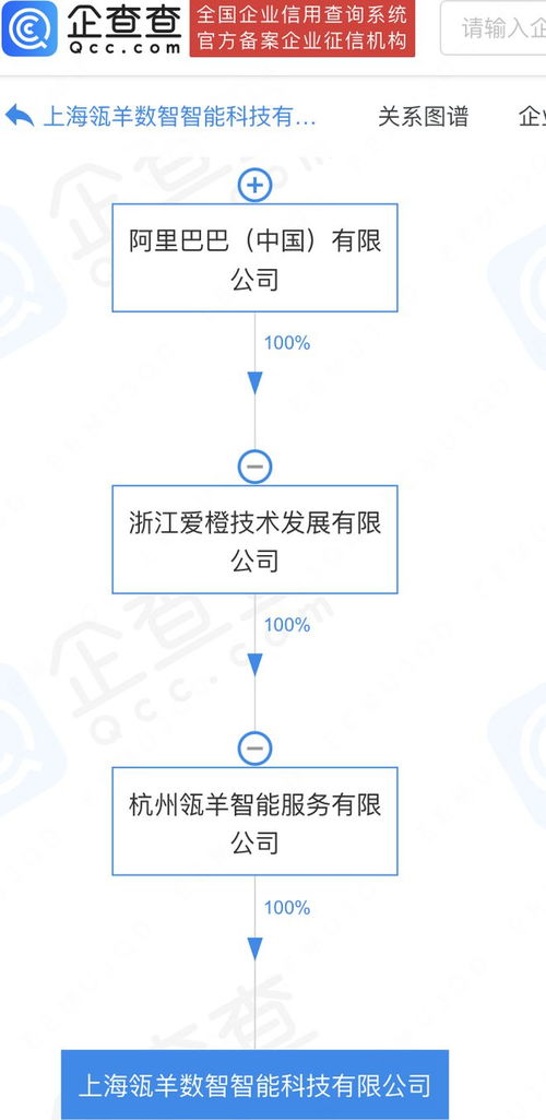阿里巴巴加碼數(shù)智科技 瓴羊數(shù)智科技公司在滬成立，深耕數(shù)據(jù)處理與存儲服務(wù)新藍(lán)海